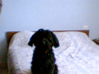 Le toutout de ma soeur